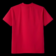 GV GALLERY RASPBERRY HILLS FLAME SPANDEX TEE - Image 2