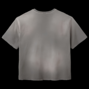 RASPBERRY HILLS TAUPE GREY BLANK TEE - Image 2