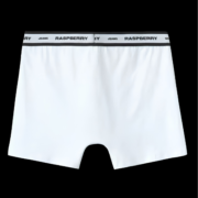 RASPBERRY HILLS WHITE BOXER BRIEFS - Image 3
