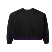 Raspberry Hills Sulfer Crewneck - Image 2